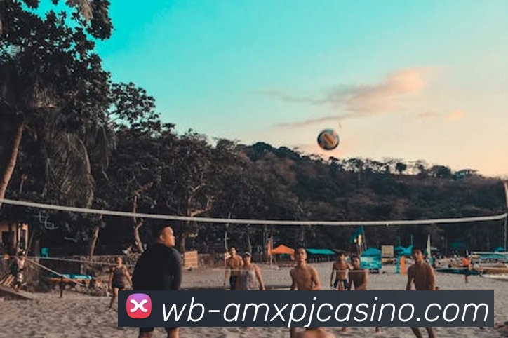 澳门新葡京娱乐APP 封面图